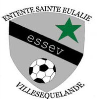 Logo ESSEV