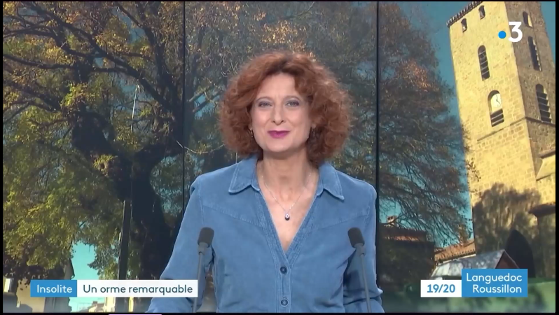 France 3 - L'arbre de l'année 