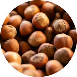 Producteur : Noisettes de l’Aude